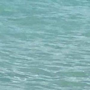 Meet your Posher, Léo